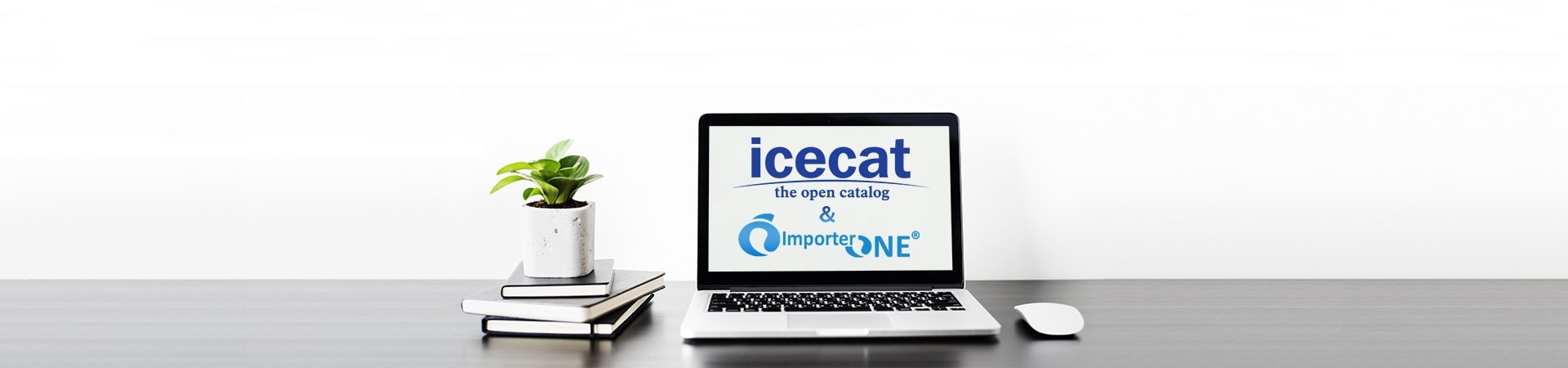 Schede tecniche Icecat 