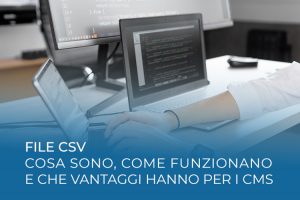 File formato CSV: la loro funzione per gli ecommerce